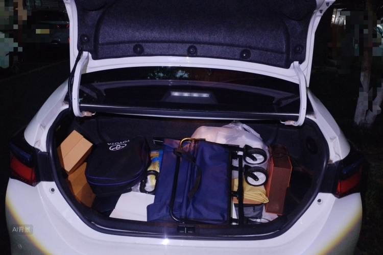 Toyota Corolla Hybird E+ 2019 #21 Toyota Corolla Hybird E+ 2019 immagine di auto #21