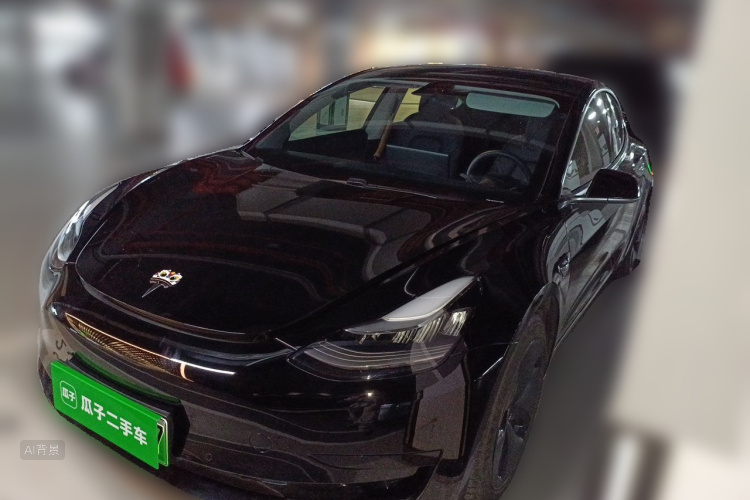 Tesla Model 3 2020 car image #2