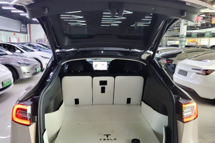 Tesla Model Y 2022 car image #21