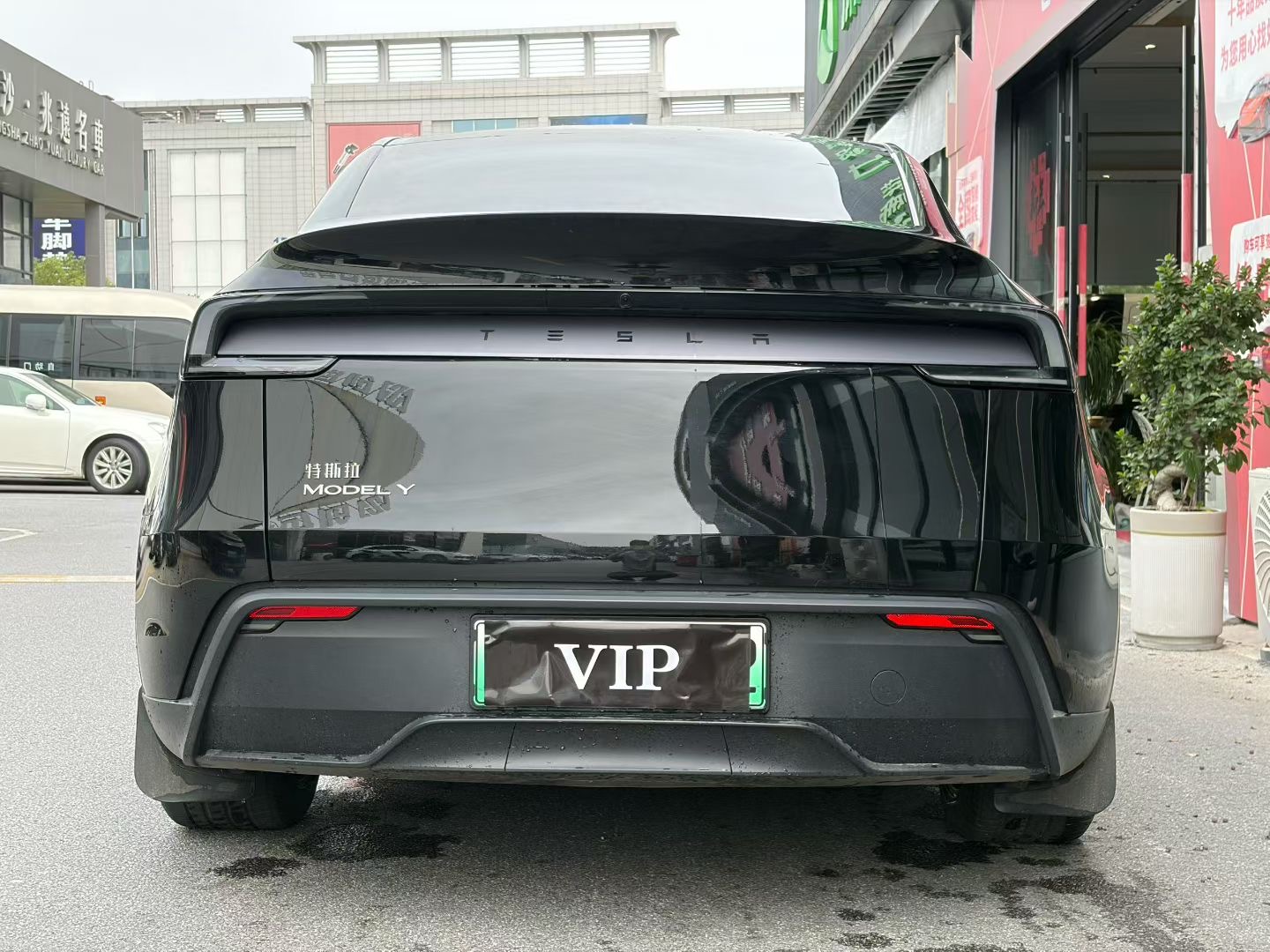 Tesla Model Y 2025 car image #8