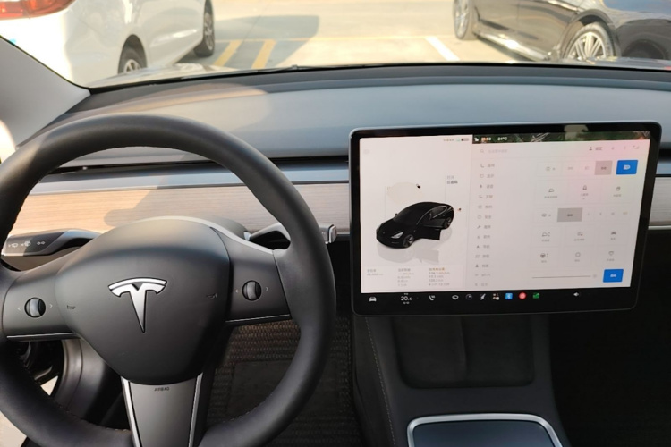 Tesla Model 3 2023 imagem de carro #11