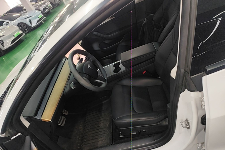 Tesla Model 3 2022 car image #15