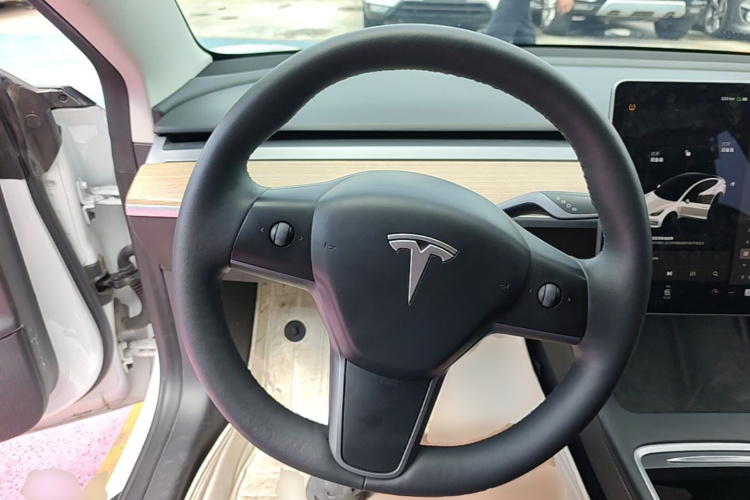 Tesla Model 3 2021 #15 Tesla Model 3 2021 car image #15