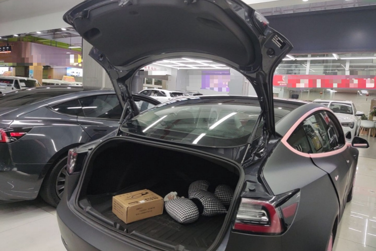 Tesla Model 3 2020 #19 Tesla Model 3 2020 car image #19