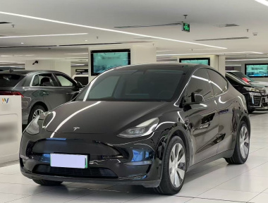 Tesla Model Y 2021 Tesla Model Y 2021 car image