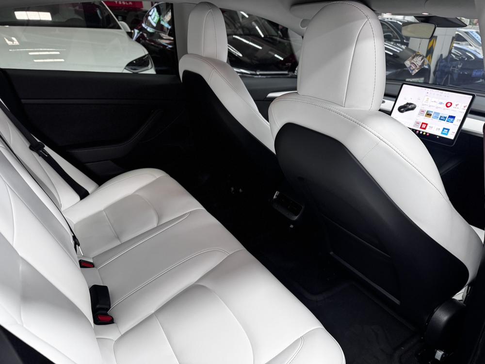 Tesla Model 3 2021 #5 Tesla Model 3 2021 car image #5
