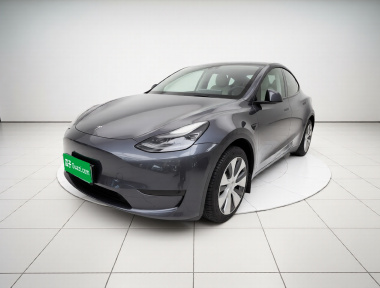 Tesla Model Y 2022 Tesla Model Y 2022 car image