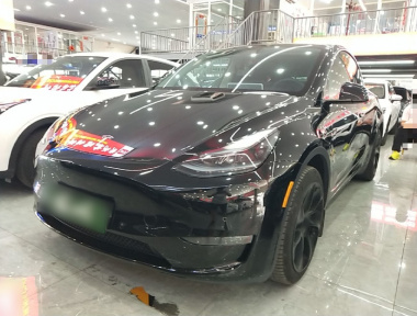 Tesla Model Y 2023 car image 