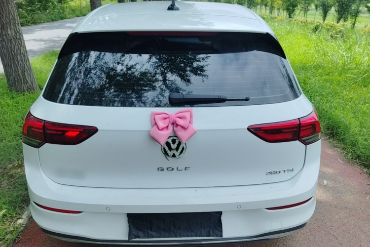 Volkswagen Golf 2022 car image #6