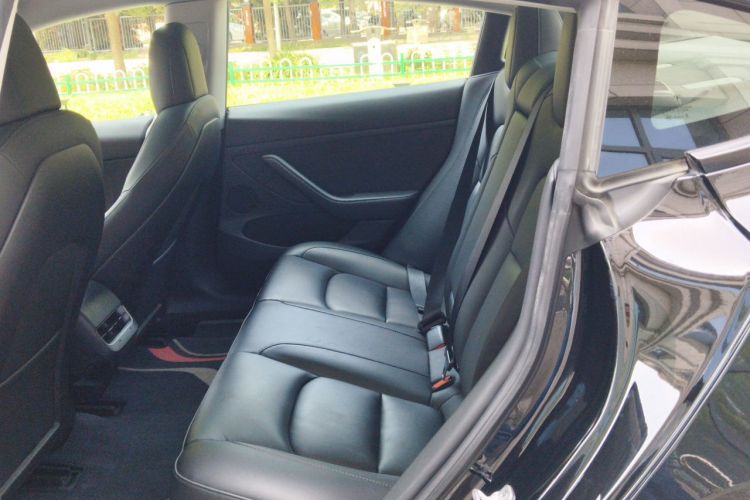Tesla Model 3 2021 car image #10