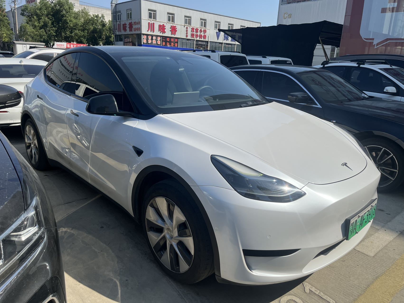 Tesla Model Y 2023 car image #2