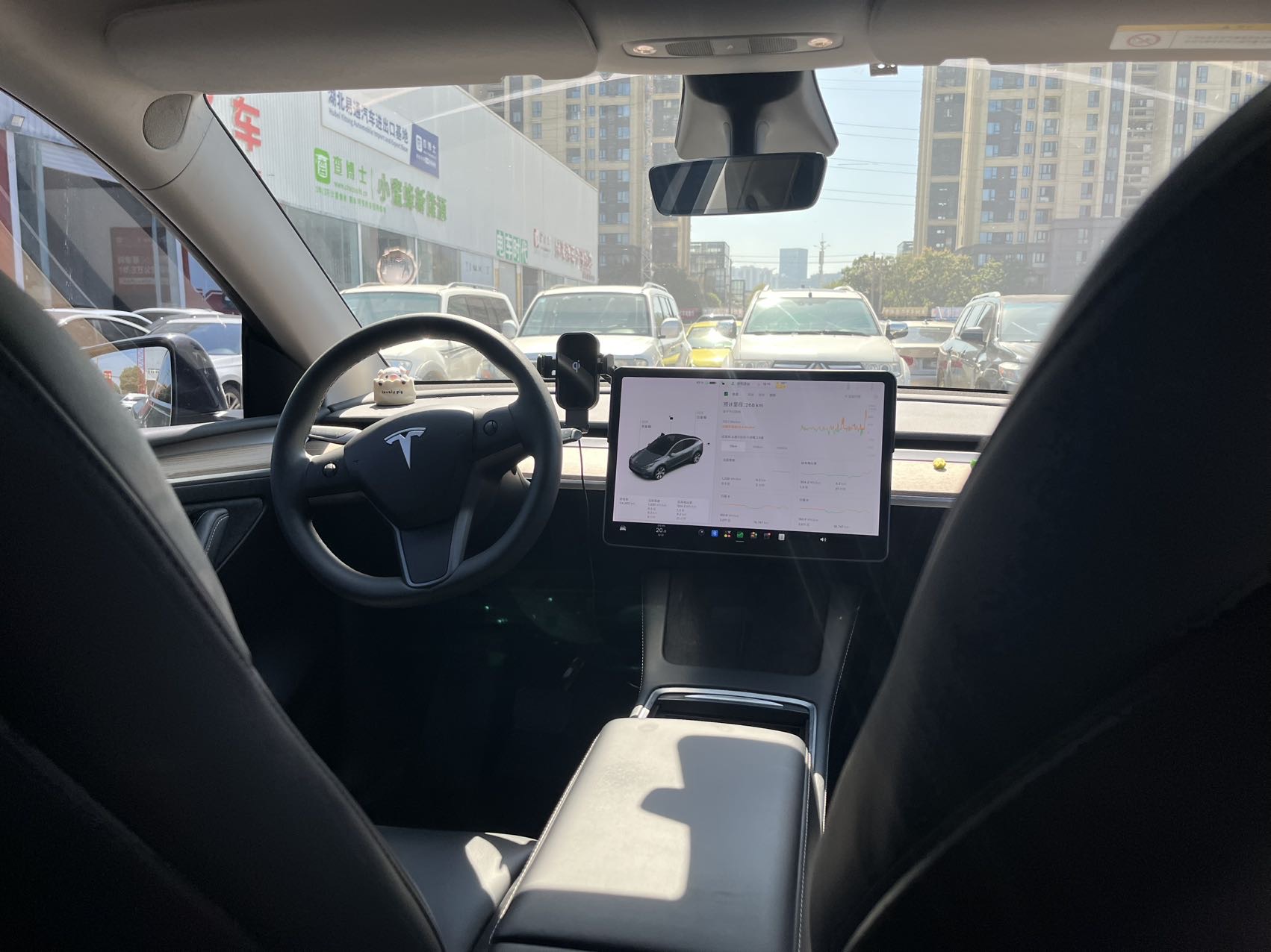 Tesla Model Y 2021 #6 Tesla Model Y 2021 car image #6