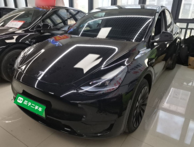 Tesla Model Y 2024 Tesla Model Y 2024 car image