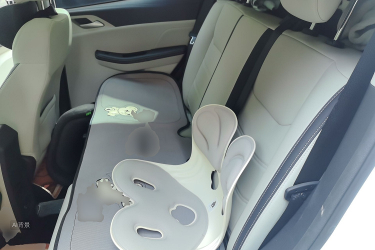 BYD Yuan Pro 2022 car image #19