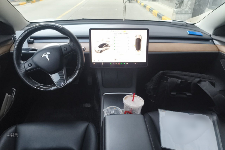 Tesla Model 3 2021 #11 Tesla Model 3 2021 car image #11