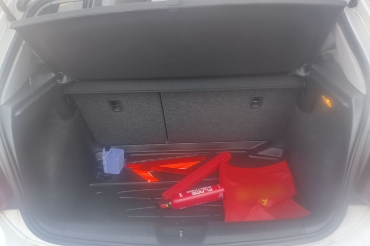 Volkswagen Polo 2016 car image #19