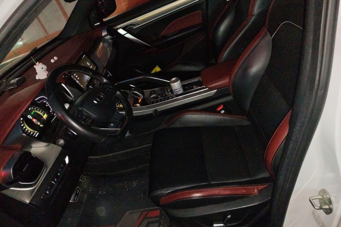 GEELY Coolray 2019 immagine di auto #18