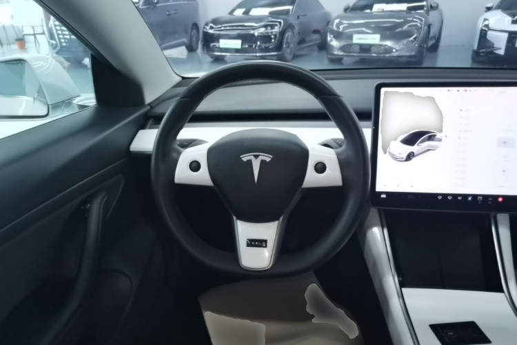 Tesla Model 3 2020 car image #11