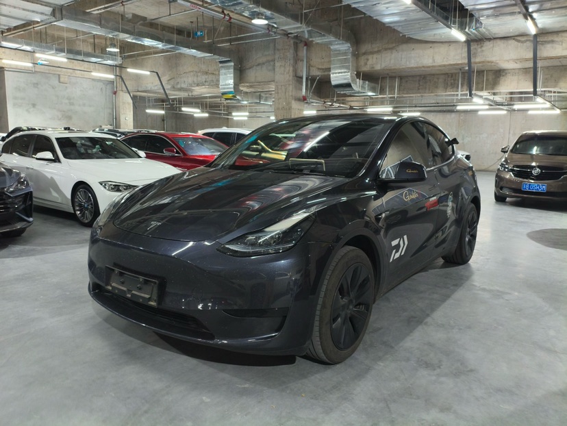 Tesla Model Y 2024 car image 