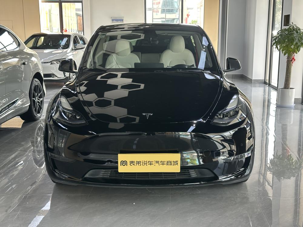 Tesla Model Y 2021 #2 Tesla Model Y 2021 car image #2