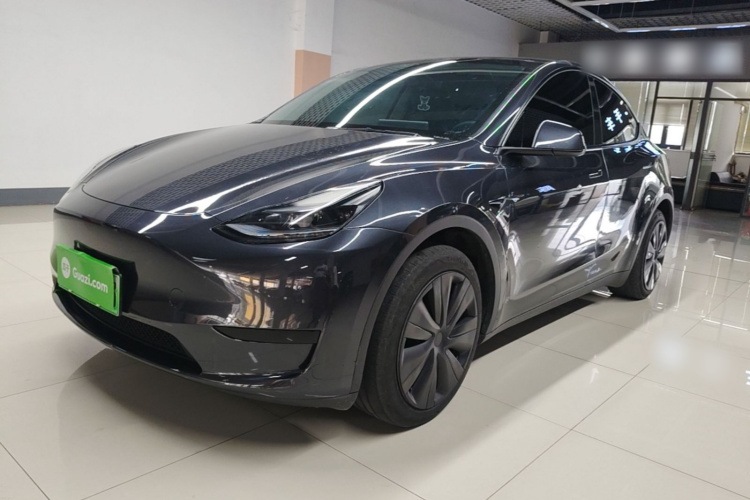 Tesla Model Y 2024 car image #2