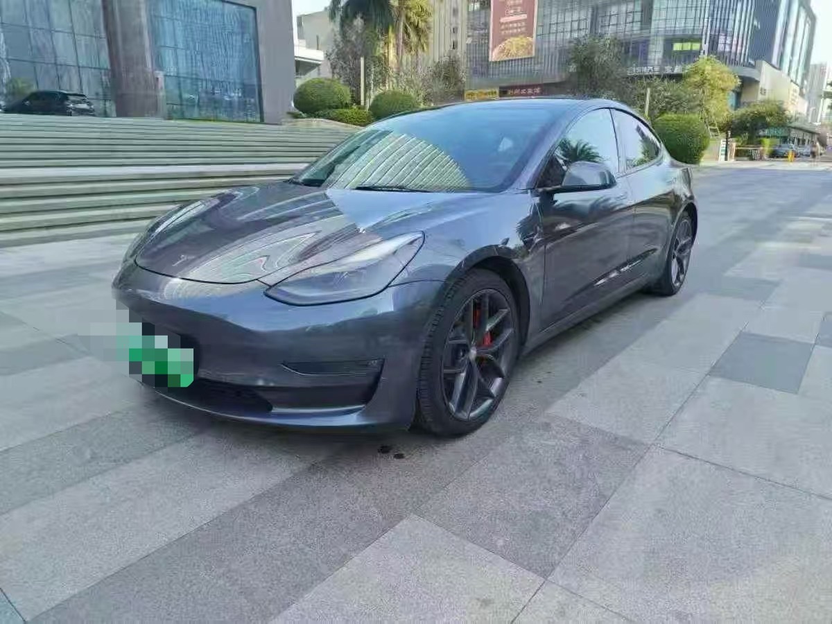 Tesla Model 3 2021 Tesla Model 3 2021 car image