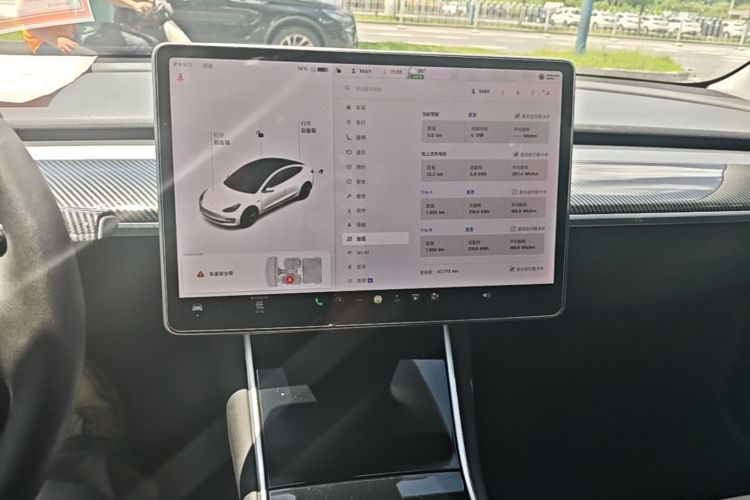 Tesla Model 3 2020 car image #13