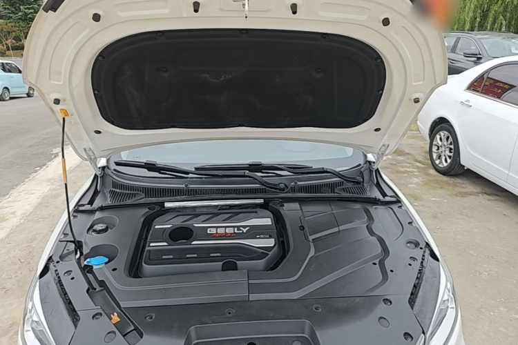 GEELY Binray 2019 #20 GEELY Binray 2019 immagine di auto #20