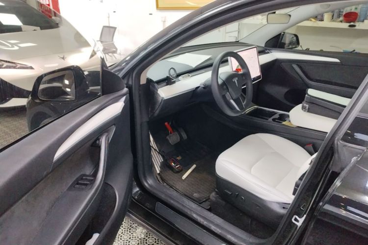 Tesla Model Y 2021 car image #16