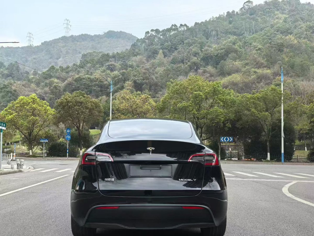 Tesla Model Y 2023 #7 Tesla Model Y 2023 car image #7