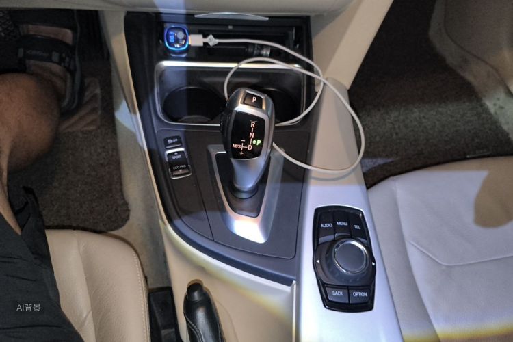 BMW 3 Series 2014 car image #16