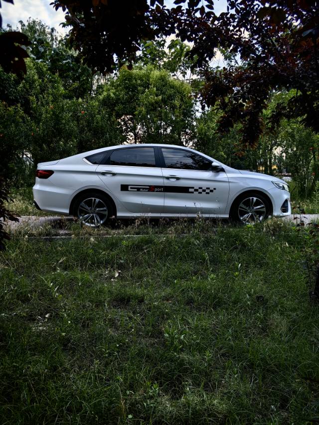 GEELY Binray 2019 image de voiture #5