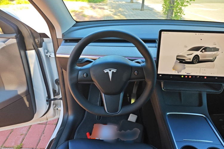 Tesla Model Y 2024 immagine di auto #11