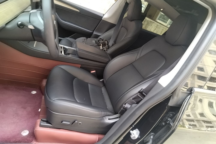 Tesla Model Y 2023 #15 Tesla Model Y 2023 car image #15