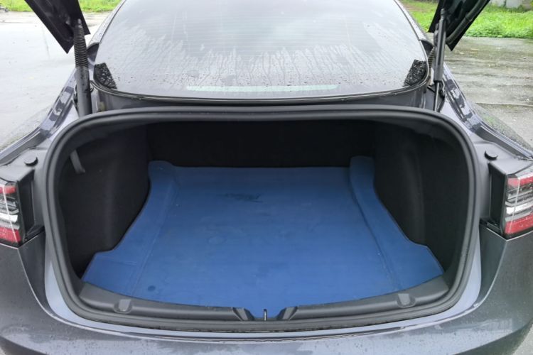 Tesla Model 3 2021 car image #21