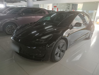 Tesla Model 3 2021 Tesla Model 3 2021 car image