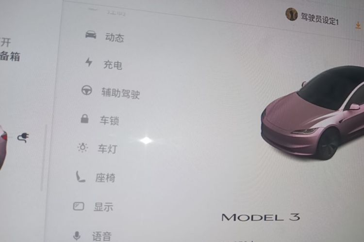 Tesla Model 3 2024 #12 Tesla Model 3 2024 car image #12