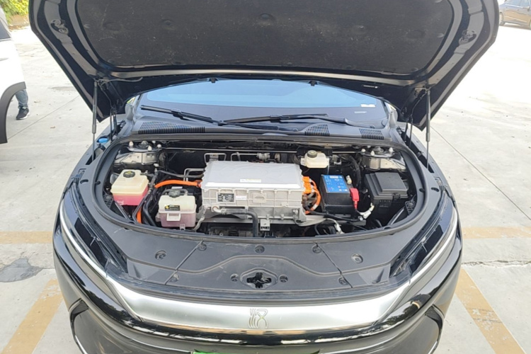 BYD Han 2021 car image #20