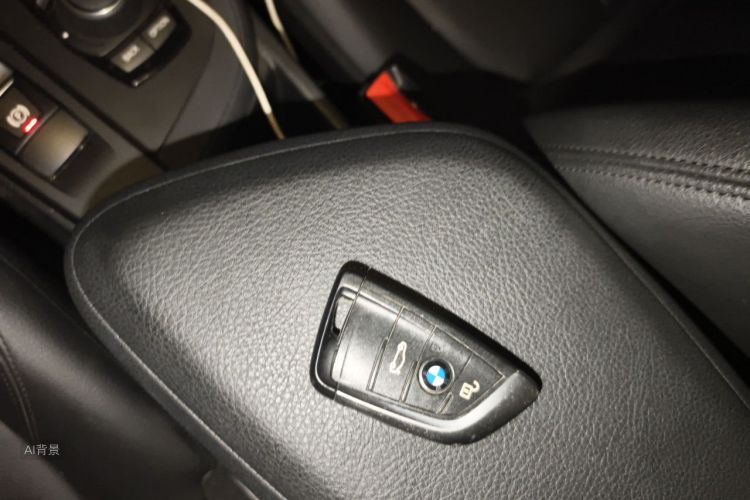 BMW X1 2017 car image #10