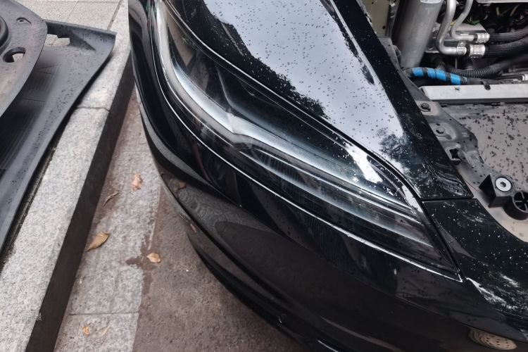 Tesla Model 3 2024 car image #8