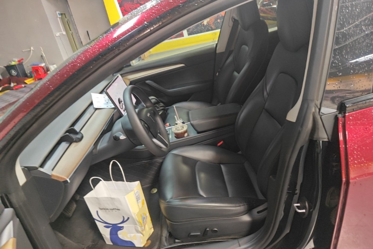 Tesla Model 3 2021 #15 Tesla Model 3 2021 car image #15