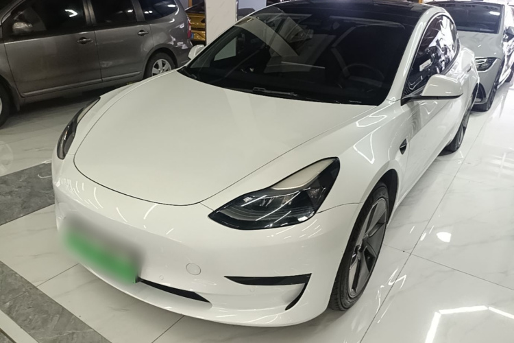 Tesla Model 3 2021 immagine di auto #2