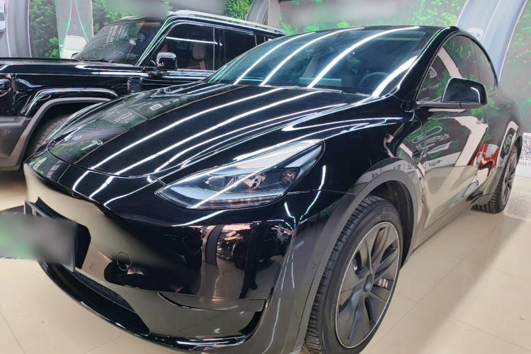 Tesla Model Y 2023 imagem de carro #2