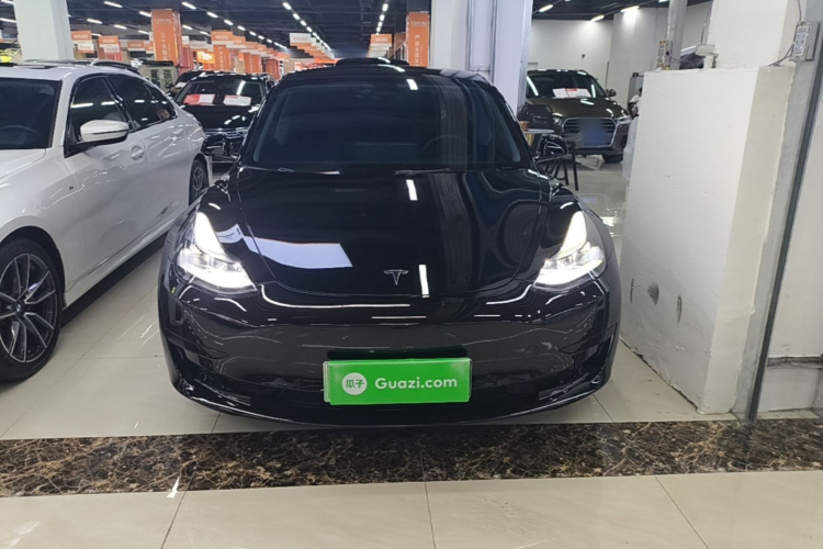 Tesla Model 3 2023 #3 Tesla Model 3 2023 car image #3