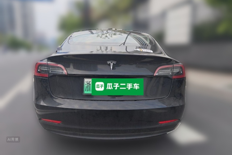 Tesla Model 3 2022 #6 Tesla Model 3 2022 car image #6