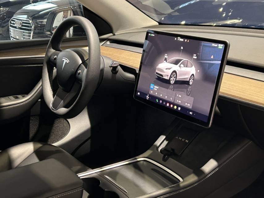 Tesla Model Y 2022 #9 Tesla Model Y 2022 car image #9