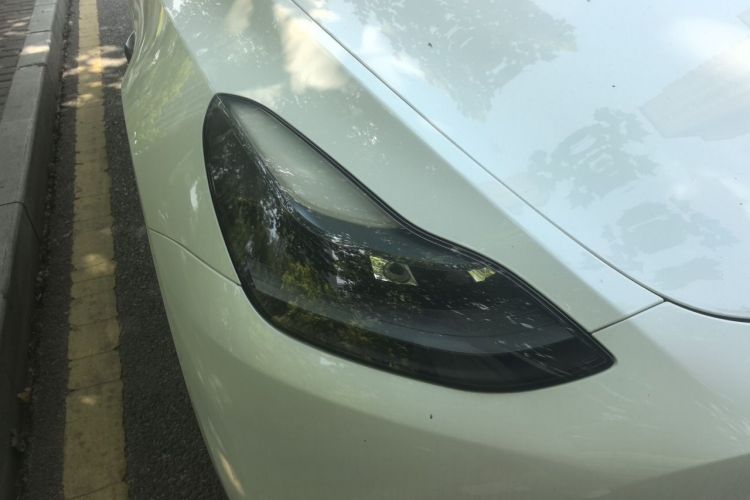 Tesla Model Y 2023 #8 Tesla Model Y 2023 car image #8