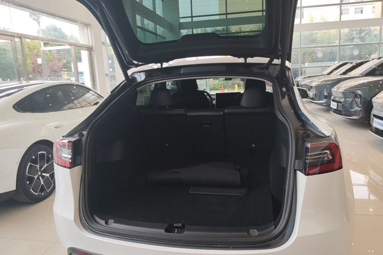 Tesla Model Y 2022 car image #19