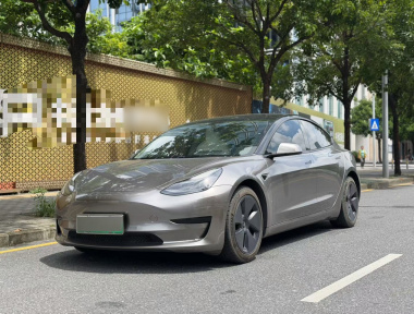 Tesla Model 3 2021 Tesla Model 3 2021 car image