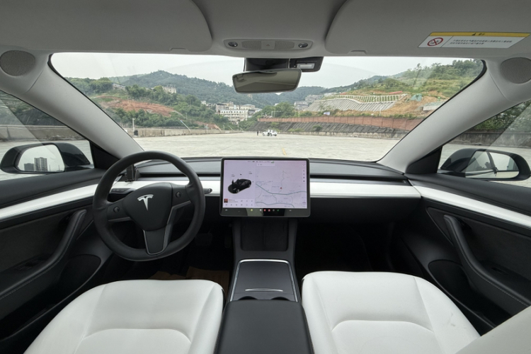 Tesla Model 3 2021 car image #13